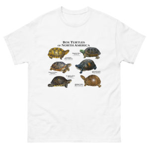 Box Turtles of North America t-shirt