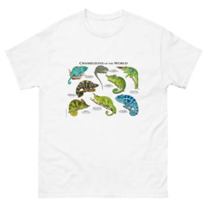 Chameleons of the World