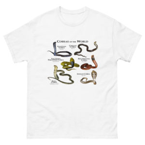 Cobras of the World
