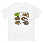 Constrictor Snakes of the World