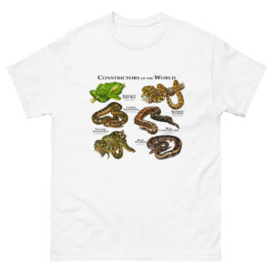 Constrictor Snakes of the World