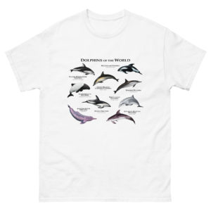 Dolphins of the World t-shirt
