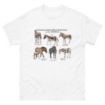 Endangered Equines of the World t-shirt