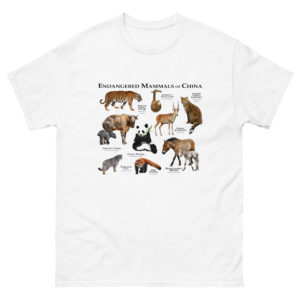 Endangered Mammals of China