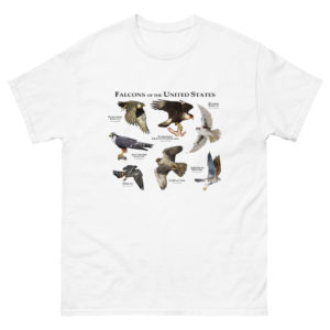 Falcons of the United States t-shirt