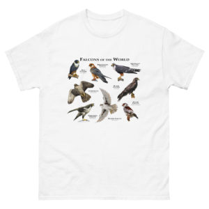 Falcons of the World t-shirt