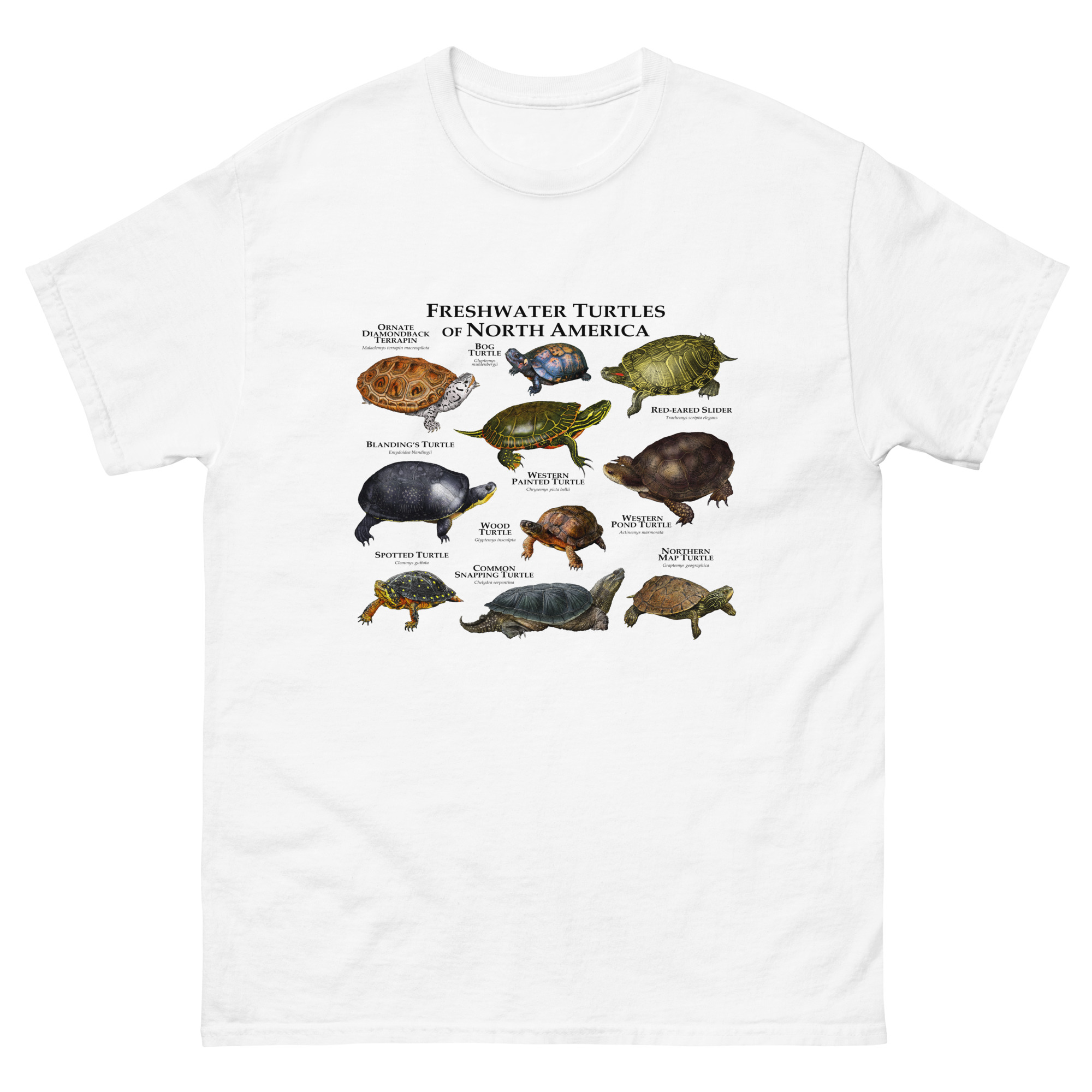 Freshwater Turtles of North America mens-classic-tee Freshwater Turtles of North America t-shirt