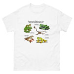 Gliding tree frogs of Asia t-shirt