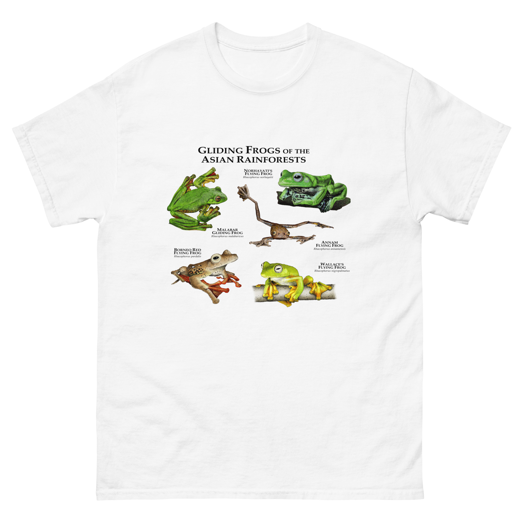 Gliding tree frogs of Asia mens-classic-tee Gliding tree frogs of Asia t-shirt