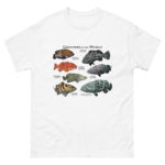 Groupers of the World t-shirt