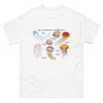 Jellyfish of the World