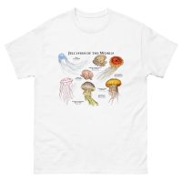 Jellyfish of the World