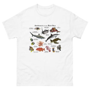 Marine animals of the Red Sea t-shirt