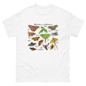 Moths of the world t-shirt