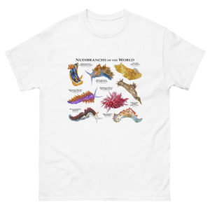 Nudibranchs of the World t-shirt
