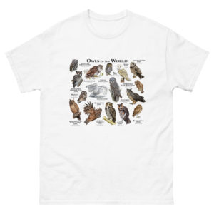 Owls of North America t-shirt