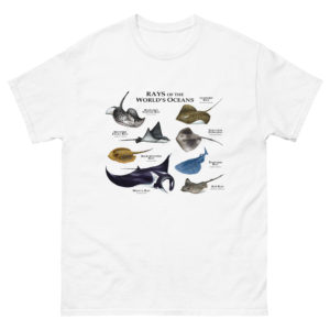 Rays of the World t-shirt
