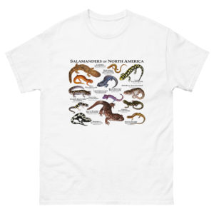 Salamander of North America t-shirt