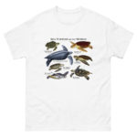 Sea Turtles of the World t-shirt