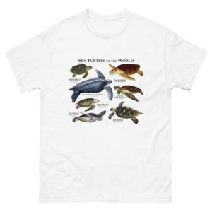 Sea Turtles of the World t-shirt