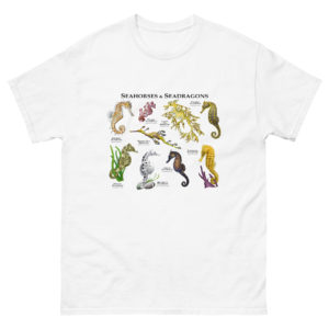 Seahorses & Seadragons of the world t-shirts