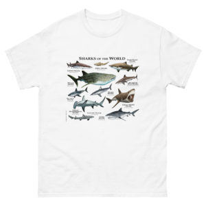 Sharks of the World t-shirts