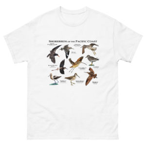 Shorebirds of the Pacific Coast - t-shirt