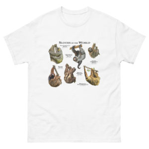 Sloths of the World t-shirt