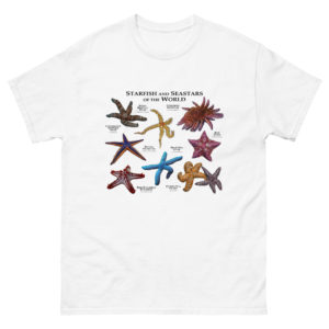 Starfish and seastars of the world t-shirt