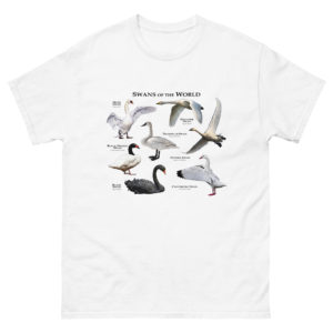 Swans of the World t-shirt