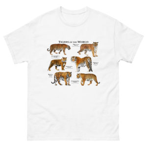 Tigers of the World