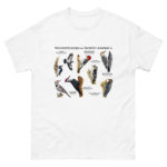 Woodpeckers of North America t-shirt