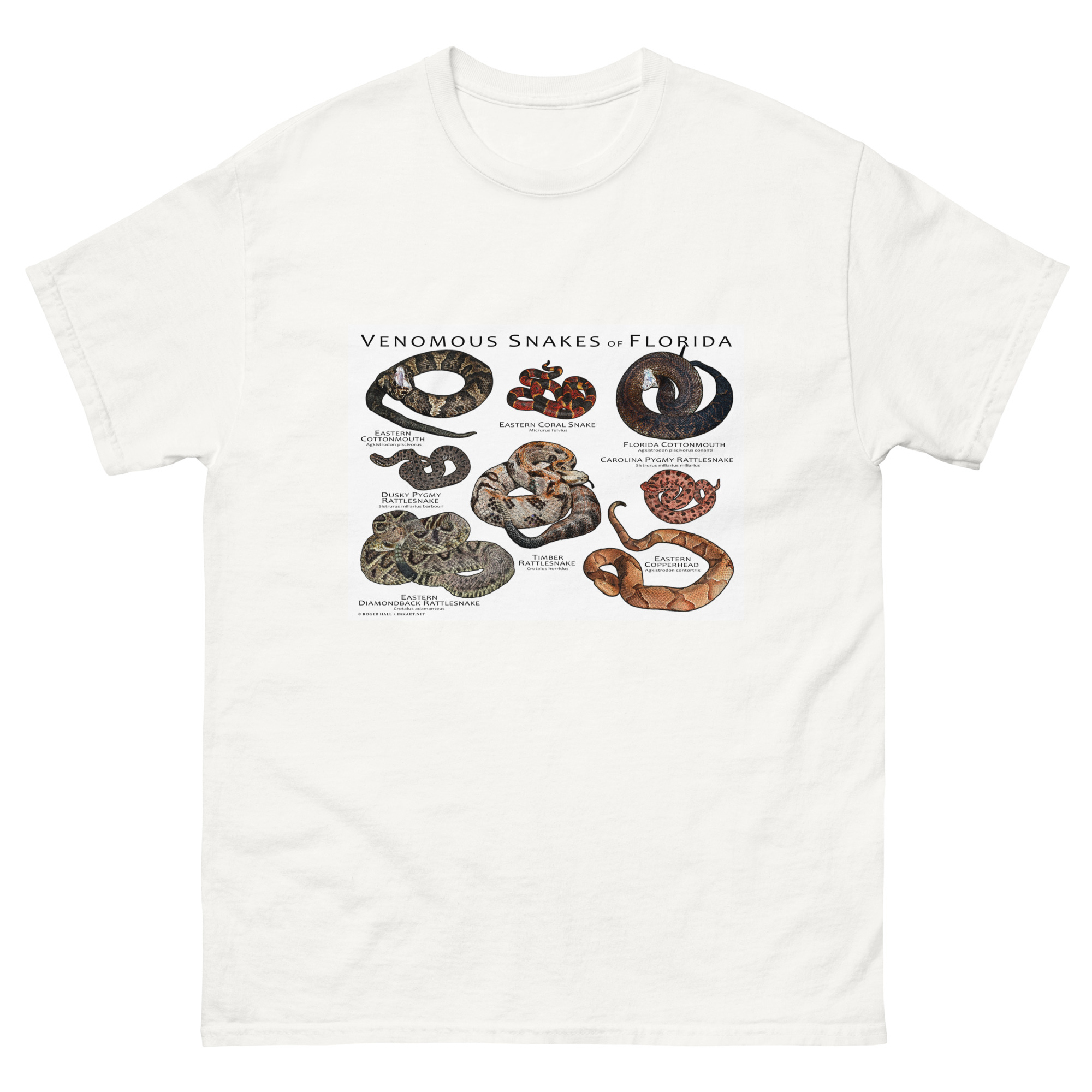 venomous snakes of Florida mens-classic-tee-white- venomous snakes of Florida t-shirt