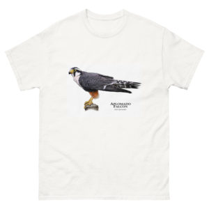 Aplomado Falcon - Men's classic tee