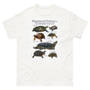 freshwater turtles of Connecticut t-shirt