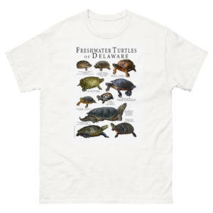 freshwater turtles of Delaware t-shirt