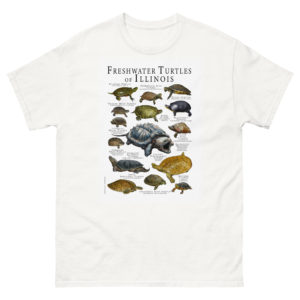 freshwater turtles of Illinois t-shirt