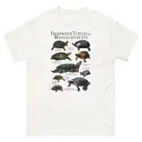 freshwater turtles of Massachusetts t-shirt