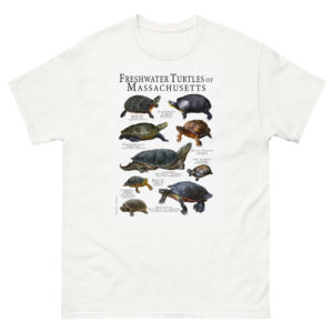 freshwater turtles of Massachusetts t-shirt