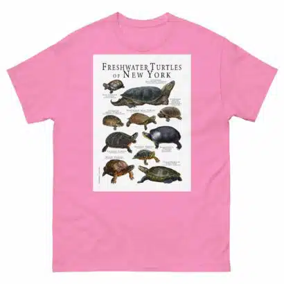 Freshwater Turtles of New York - Men's classic tee - Image 7