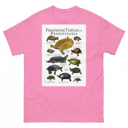 Freshwater Turtles of Pennsylvania - Men's classic tee - Image 7