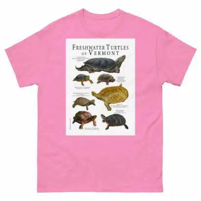 Freshwater Turtles of Vermont - Men's classic tee - Image 7