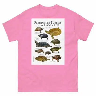 Freshwater Turtles of Wisconsin - Men's classic tee - Image 7