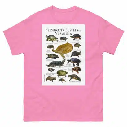 Freshwater Turtles of Virginia - Men's classic tee - Image 7
