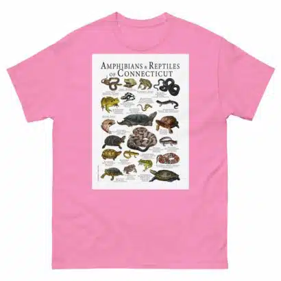 Amphibians & Reptiles of Connecticut - Men's classic tee - Image 7