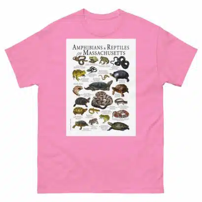 Amphibians & Reptiles of Massachusetts - Men's classic tee - Image 7