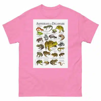Amphibians of Delaware - Men's classic tee - Image 7