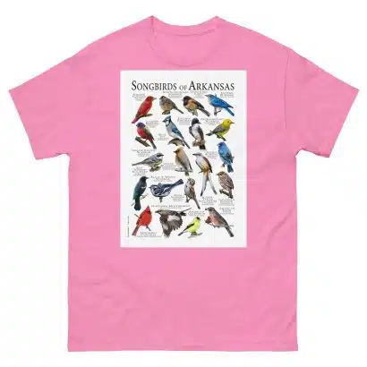Songbirds of Arkansas Men's classic tee - Image 7