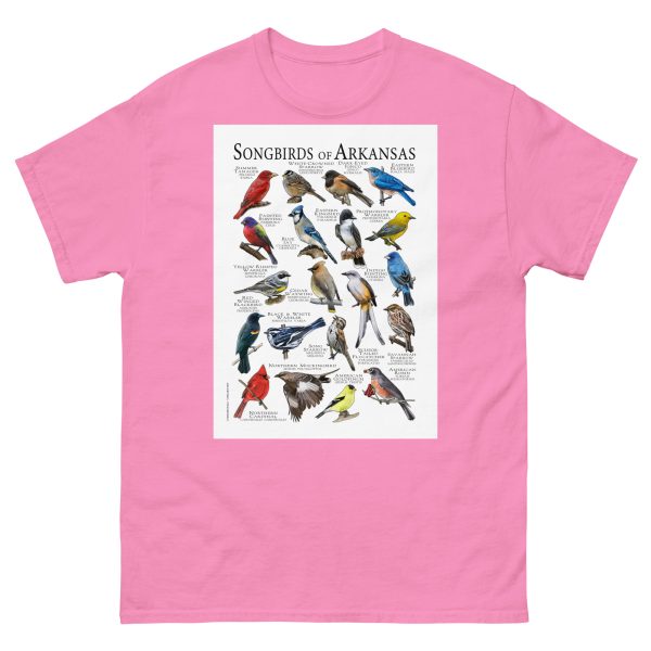 Songbirds of Arkansas Men's classic tee - Image 7