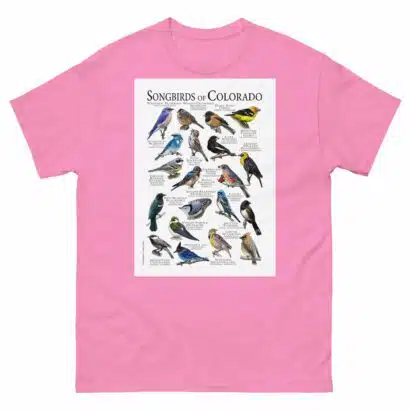 Songbirds of Colorado - Men's classic tee - Image 7